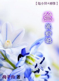 （BG-綜武俠同人）[陸小鳳+神鵰]蘭花滿樓