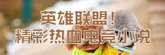 英雄聯盟！精彩熱血電競小說