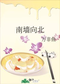 南牆向北